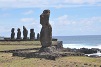 puna-pau