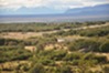 arenas